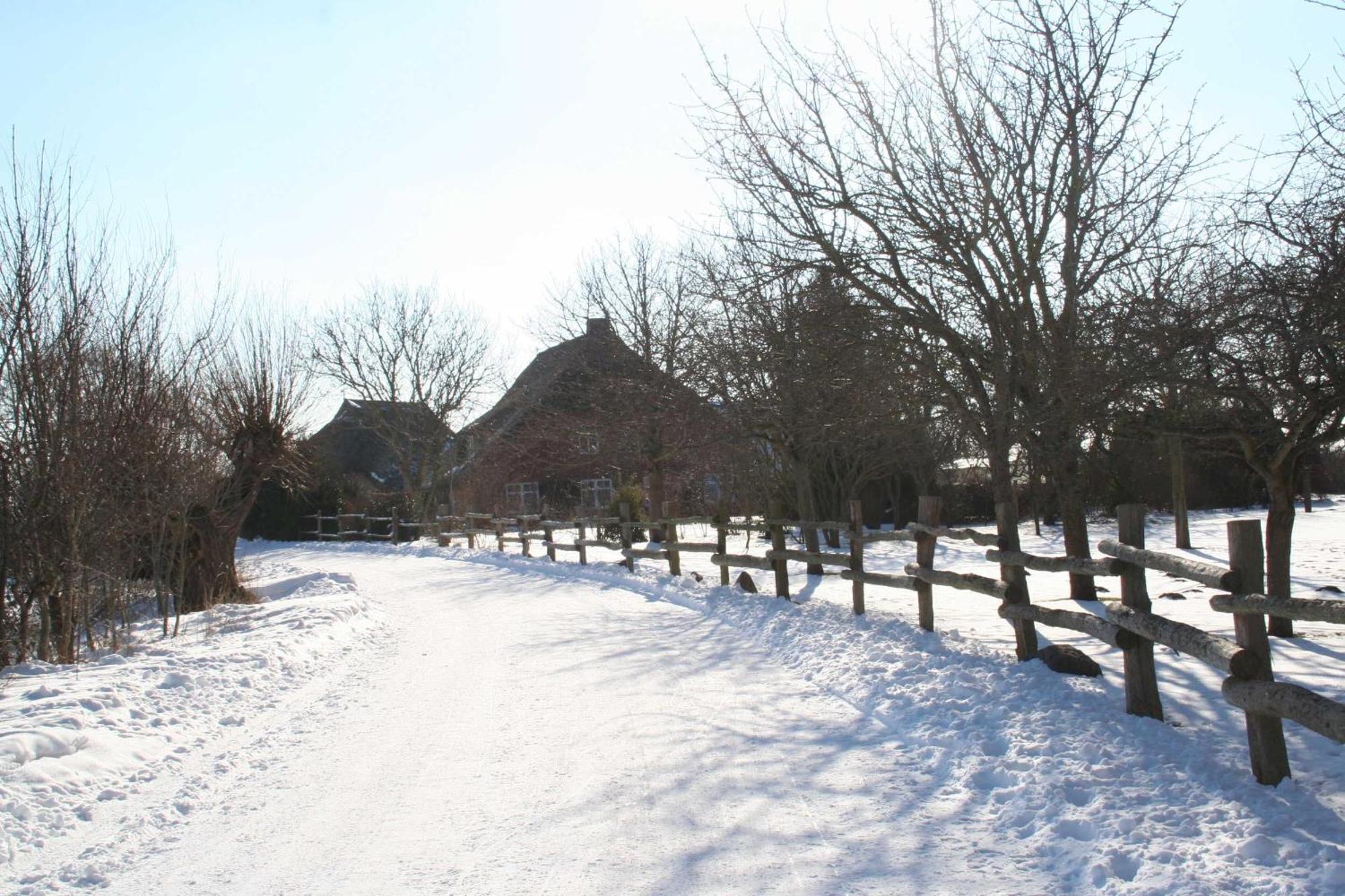 Boddenblick Fw Marlen Villa Barnstorf Exterior photo
